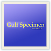 logo_gulf_specimen.png